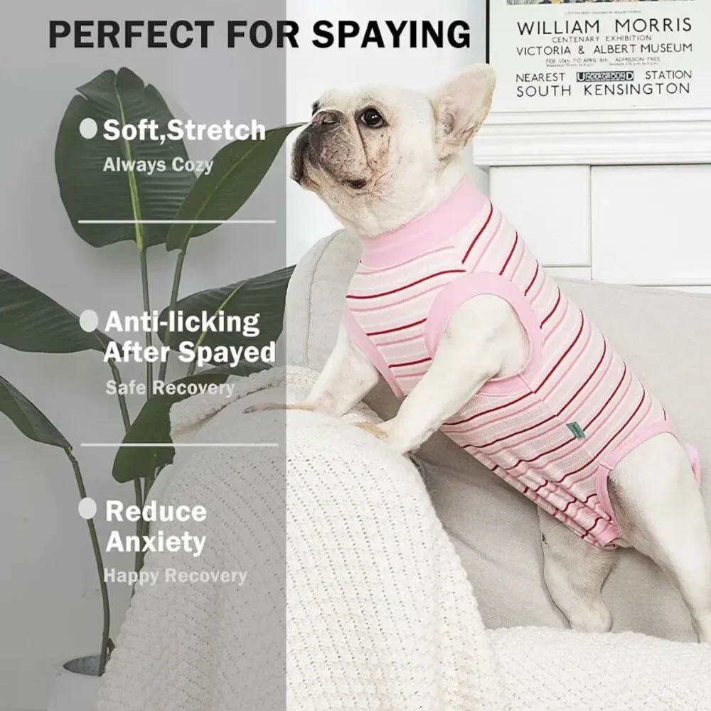 Sebdtico Soft Dog Onesie Recovery Suit in Pink Stripe